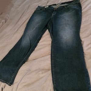Barely Boot (boot cut) Jeans, Torrid